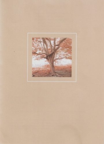 2008 - Overlijden Cornelia van Steenderen de Kok (1922-2008)