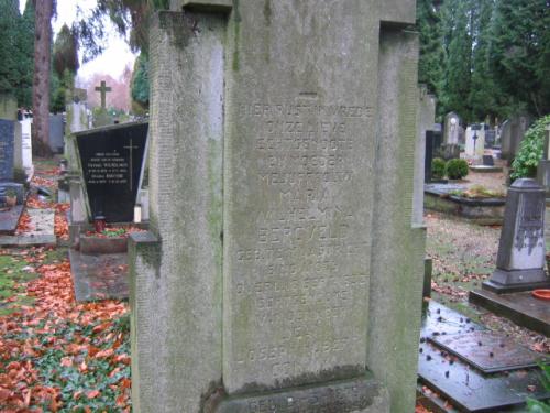 1932 - Grafsteen Maria Wilhelmina Bergveld (geb. 6-11-1879) en Jean Joseph Hubert Coninx - Begraafplaats Maastricht