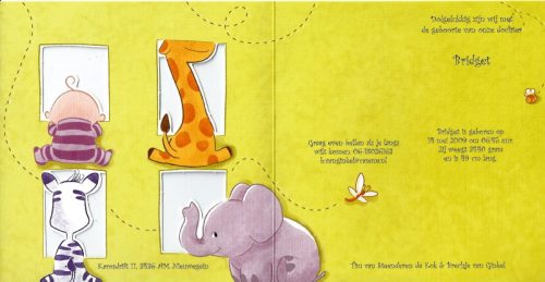 2009 - Geboorte Bridget van Steenderen de Kok